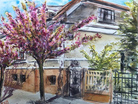 Sakura - 2021 akvarell 30x40 cm(elkelt)